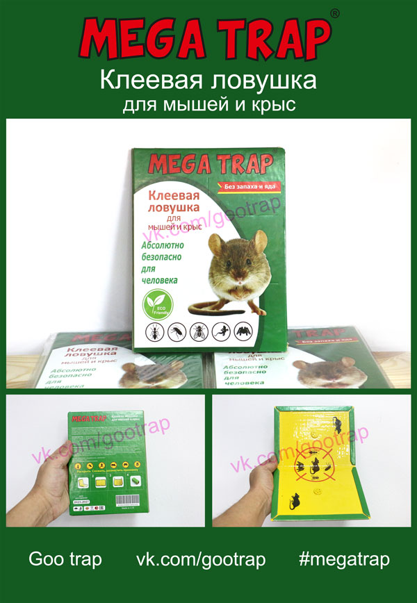 ��������� �������� ������ �����, ������� ����� �� ���� �����, ���������� �� ���� � ��������, ��������� �������� ���� �����, ����������� ����� � ����������, ����������� ����� �� ������������,